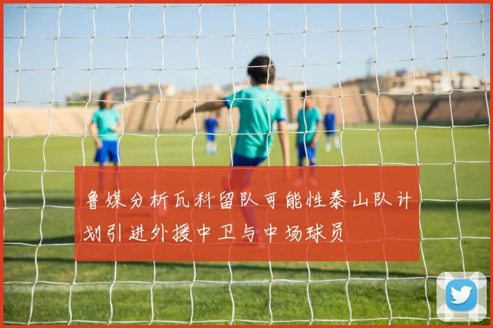 鲁媒分析瓦科留队可能性泰山队计划引进外援中卫与中场球员