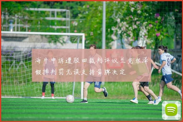 海牛申诉遭驳回裁判评议兰克尔泽假摔判罚无误支持黄牌决定