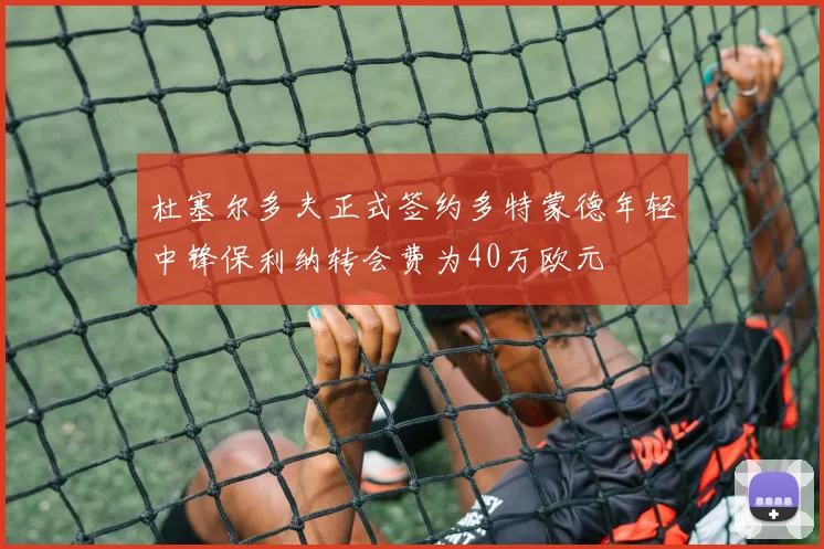 杜塞尔多夫正式签约多特蒙德年轻中锋保利纳转会费为40万欧元