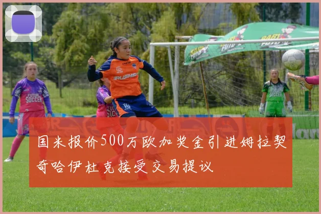 国米报价500万欧加奖金引进姆拉契奇哈伊杜克接受交易提议