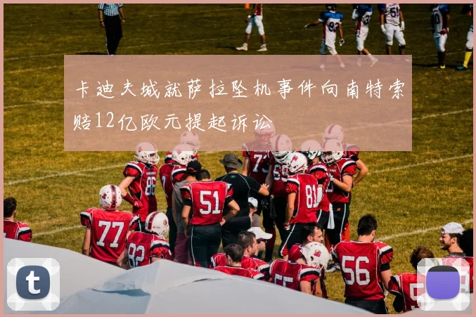 卡迪夫城就萨拉坠机事件向南特索赔12亿欧元提起诉讼